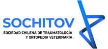Logo_SOCHITOV